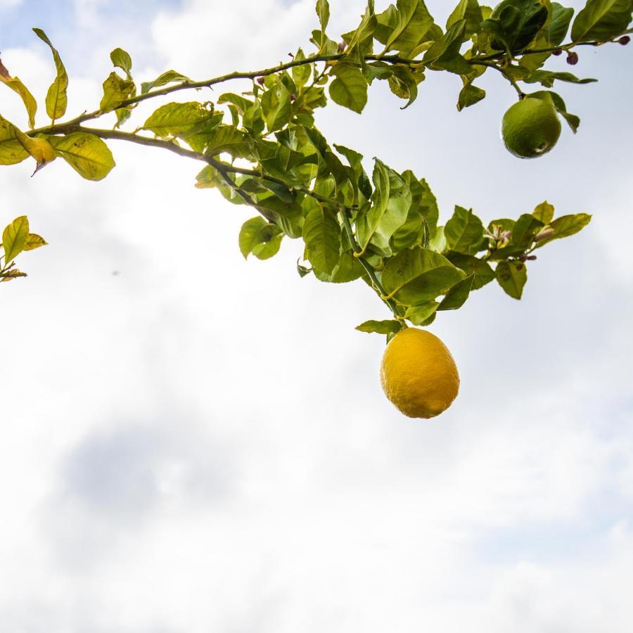 Casa Laranja, Aromas Burgau Lägenhet Exteriör bild